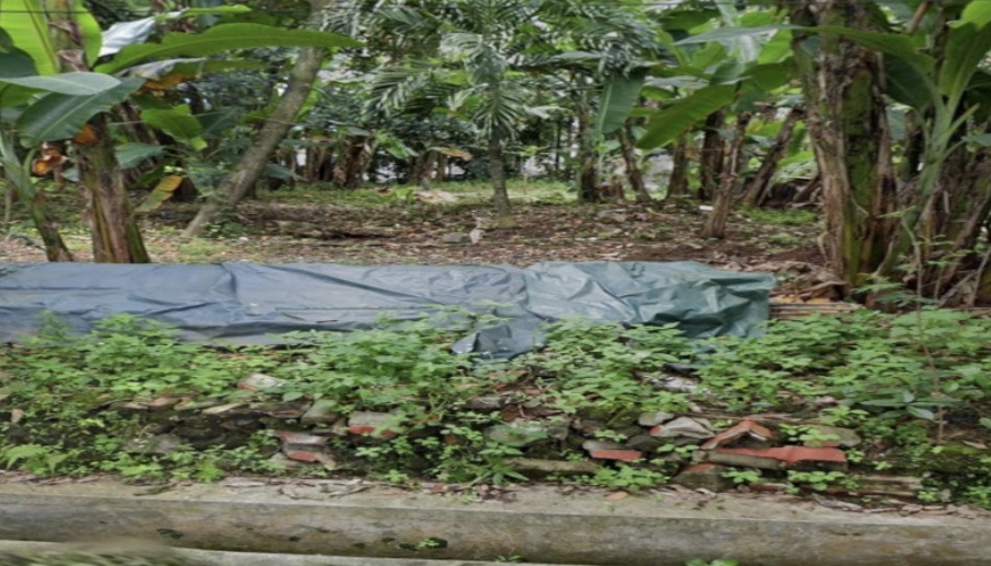 Sewa Tanah Untuk Bangunan Sarana Olah Raga (Lapangan Olah Raga) Kecamatan Banyumanik