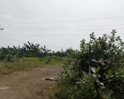 Sewa Tanah Tegalan Kecamatan Tembalang