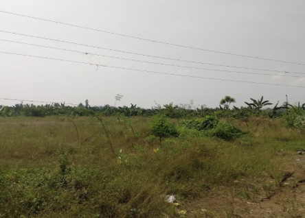 Sewa Tanah Tegalan Kecamatan Tembalang