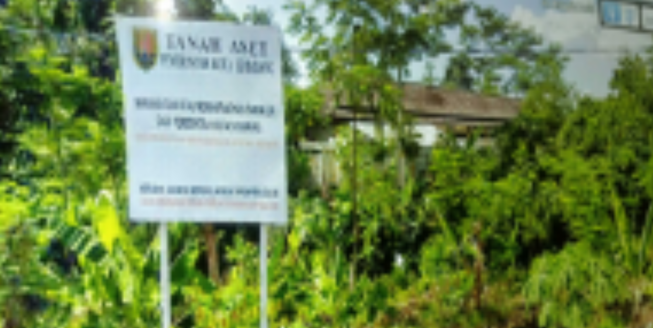 Sewa Perkebunan Depan Among Jiwo Kecamatan Ngaliyan