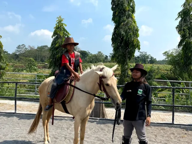 Musawa Royal Stable Semarang