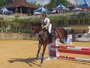 EQUIDREAMS HORSE STALLS (Stable, Cafe & Resto)