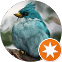 prisma ambara profile picture
